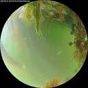./images/calvert/underwater/20260826/underwater20260826_185501M.jpg
