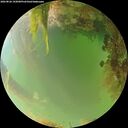 ./images/calvert/underwater/20260826/underwater20260826_192001M.jpg