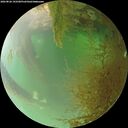 ./images/calvert/underwater/20260826/underwater20260826_192501M.jpg