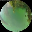 ./images/calvert/underwater/20260826/underwater20260826_194002M.jpg