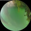./images/calvert/underwater/20260826/underwater20260826_194501M.jpg