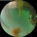 ./images/calvert/underwater/20260826/underwater20260826_200002M.jpg