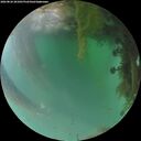 ./images/calvert/underwater/20260826/underwater20260826_201001M.jpg