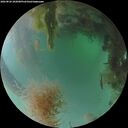./images/calvert/underwater/20260826/underwater20260826_202001M.jpg