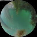./images/calvert/underwater/20260826/underwater20260826_202501M.jpg