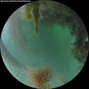 ./images/calvert/underwater/20260826/underwater20260826_203001M.jpg