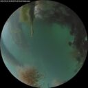 ./images/calvert/underwater/20260826/underwater20260826_204002M.jpg