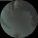 ./images/calvert/underwater/20260826/underwater20260826_205501M.jpg