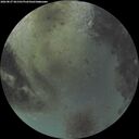 ./images/calvert/underwater/20260827/underwater20260827_061501M.jpg
