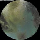 ./images/calvert/underwater/20260827/underwater20260827_062001M.jpg