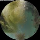./images/calvert/underwater/20260827/underwater20260827_063001M.jpg