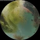 ./images/calvert/underwater/20260827/underwater20260827_063501M.jpg