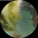 ./images/calvert/underwater/20260827/underwater20260827_064002M.jpg