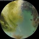 ./images/calvert/underwater/20260827/underwater20260827_064501M.jpg