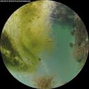 ./images/calvert/underwater/20260827/underwater20260827_065001M.jpg