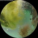 ./images/calvert/underwater/20260827/underwater20260827_071001M.jpg