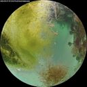 ./images/calvert/underwater/20260827/underwater20260827_071501M.jpg