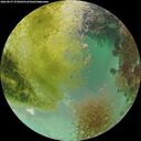 ./images/calvert/underwater/20260827/underwater20260827_072001M.jpg