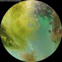 ./images/calvert/underwater/20260827/underwater20260827_073001M.jpg