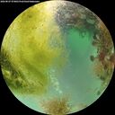 ./images/calvert/underwater/20260827/underwater20260827_074001M.jpg