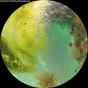 ./images/calvert/underwater/20260827/underwater20260827_075501M.jpg