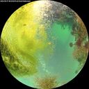 ./images/calvert/underwater/20260827/underwater20260827_081001M.jpg