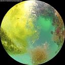 ./images/calvert/underwater/20260827/underwater20260827_082001M.jpg
