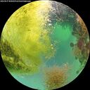 ./images/calvert/underwater/20260827/underwater20260827_084001M.jpg
