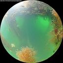 ./images/calvert/underwater/20260827/underwater20260827_091001M.jpg