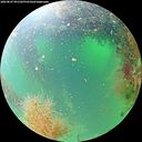 ./images/calvert/underwater/20260827/underwater20260827_091502M.jpg