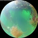 ./images/calvert/underwater/20260827/underwater20260827_092001M.jpg