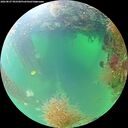 ./images/calvert/underwater/20260827/underwater20260827_092501M.jpg