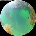 ./images/calvert/underwater/20260827/underwater20260827_093001M.jpg