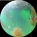 ./images/calvert/underwater/20260827/underwater20260827_093502M.jpg