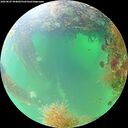 ./images/calvert/underwater/20260827/underwater20260827_094002M.jpg