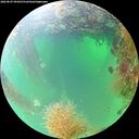 ./images/calvert/underwater/20260827/underwater20260827_094501M.jpg