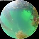 ./images/calvert/underwater/20260827/underwater20260827_100501M.jpg