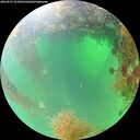 ./images/calvert/underwater/20260827/underwater20260827_101001M.jpg
