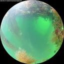 ./images/calvert/underwater/20260827/underwater20260827_102001M.jpg