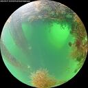 ./images/calvert/underwater/20260827/underwater20260827_103502M.jpg