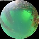 ./images/calvert/underwater/20260827/underwater20260827_104001M.jpg