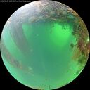 ./images/calvert/underwater/20260827/underwater20260827_104501M.jpg