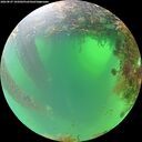 ./images/calvert/underwater/20260827/underwater20260827_105002M.jpg
