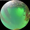 ./images/calvert/underwater/20260827/underwater20260827_110001M.jpg