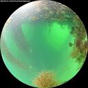 ./images/calvert/underwater/20260827/underwater20260827_110501M.jpg