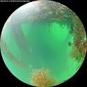./images/calvert/underwater/20260827/underwater20260827_111001M.jpg