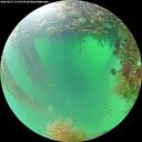 ./images/calvert/underwater/20260827/underwater20260827_111501M.jpg