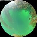 ./images/calvert/underwater/20260827/underwater20260827_112002M.jpg