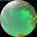 ./images/calvert/underwater/20260827/underwater20260827_112501M.jpg