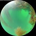 ./images/calvert/underwater/20260827/underwater20260827_113501M.jpg